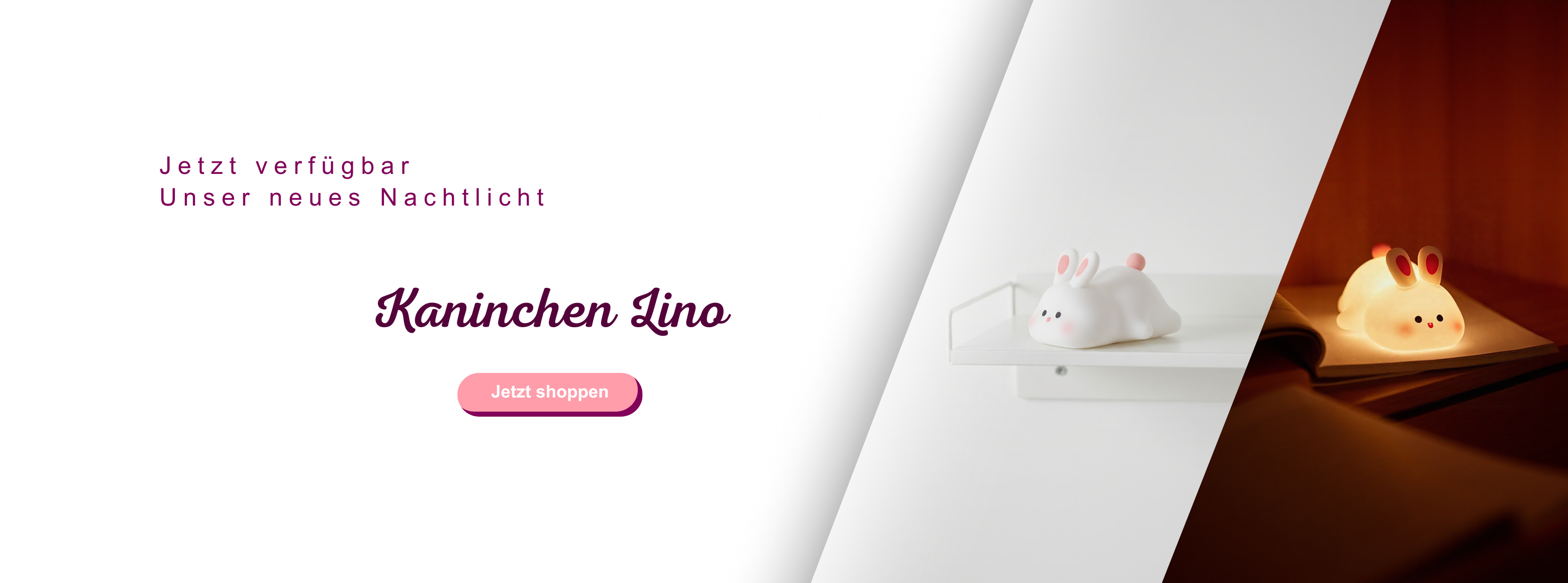 Pally Shop Startseite Banner Lino