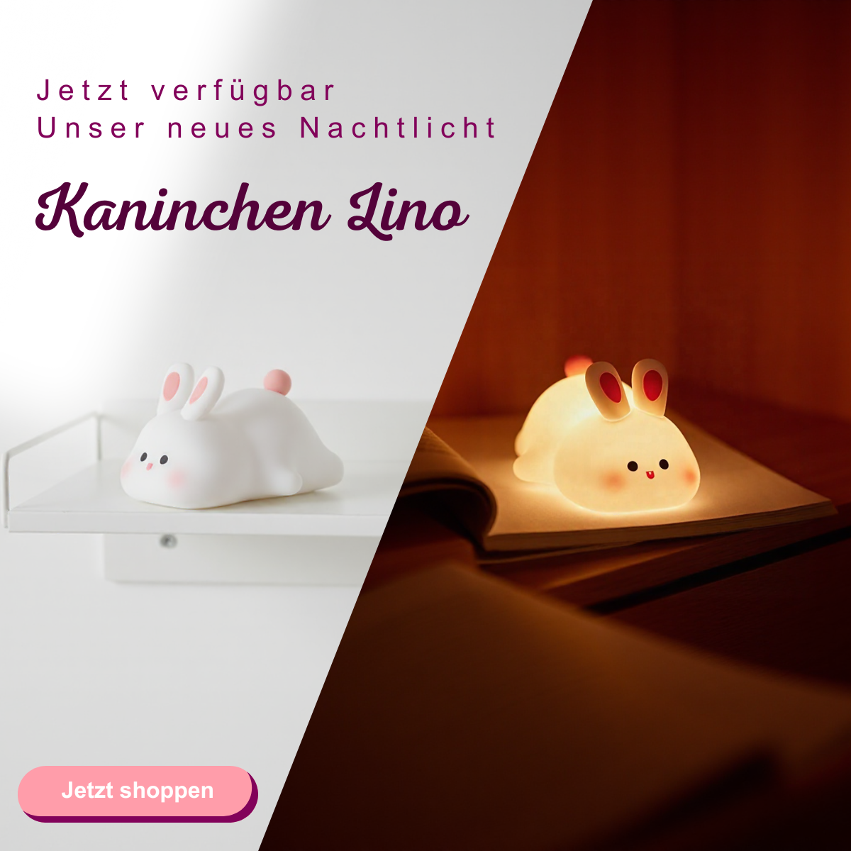 Pally Shop Startseite Banner Lino Mobile